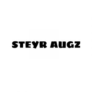 Steyr AUGZ